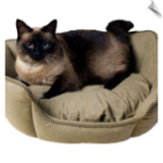Cat Beds, Carriers & More