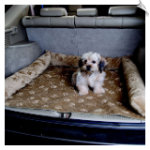 Pet Luxury SUV Pad and Bed